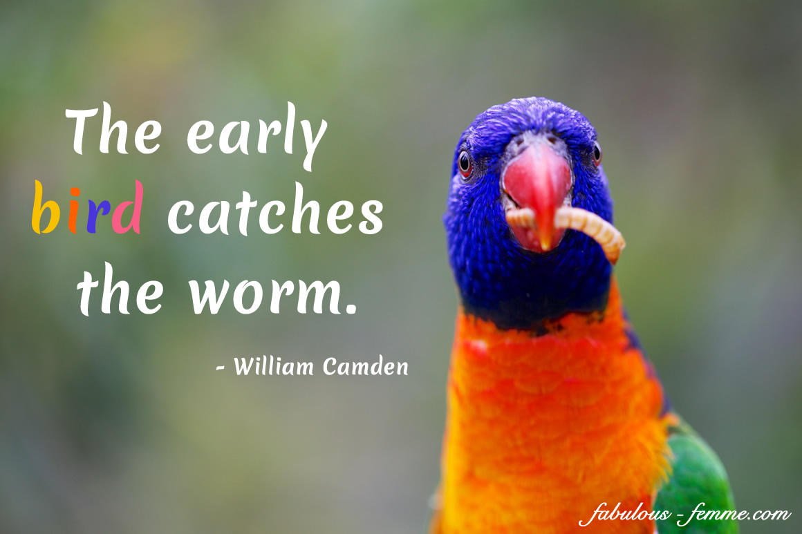 write a narrative essay on the early bird catches the worm