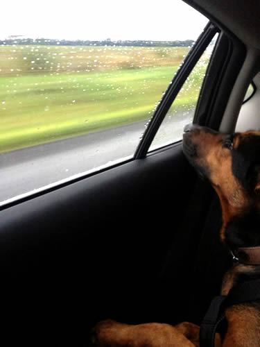 Ella in the car on the way to Bordeaux