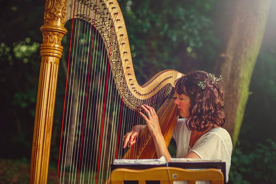 The Derbyshire Harpist