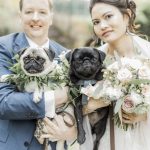 Bride and Groom with Pugs