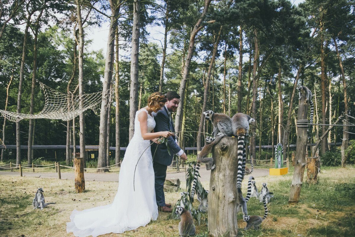 Yorkshire-Wildlife-Park-Wedding