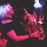 Zebra Plays Saxophone