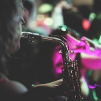 Zebra Plays Saxophone
