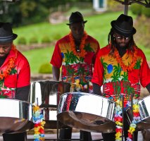 Steel Band City - Caribbean Steel Band