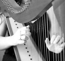 The South West Harpist