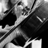 The Hyde Park String Quartet