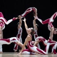 Acrobat Troupe