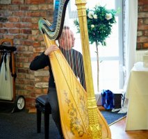 The North West Wedding Harpist