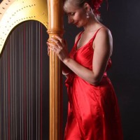 Anna The Sussex Harpist