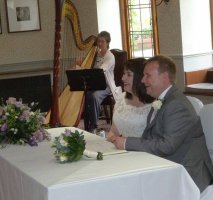 The Worcestershire Harpist