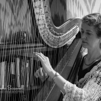 The Worcestershire Harpist