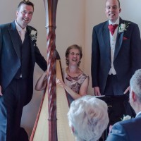 The Worcestershire Harpist