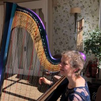 The Worcestershire Harpist