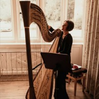 The Yorkshire Harpist