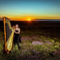 The Yorkshire Harpist