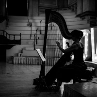The Yorkshire Harpist