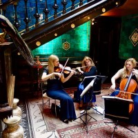 The Berkeley Trio