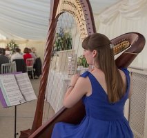 Heather The Sussex Harpist