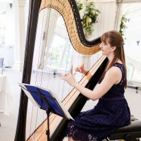 Heather The Sussex Harpist