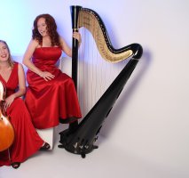 Manchester Harp & Cello Duo