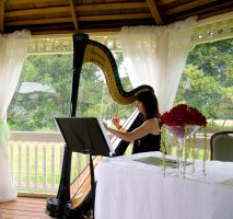 The Cheshire Wedding Harpist