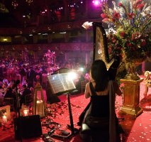 The Cheshire Wedding Harpist