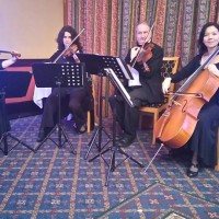 The Devon String Quartet