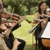 The Devon String Quartet