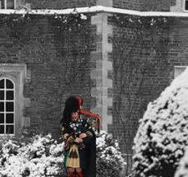 Roy The Piper