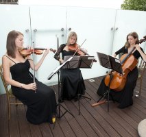 The Ruby String Trio