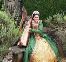 The South East Harpist