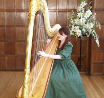 The South East Harpist