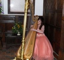 The South East Harpist