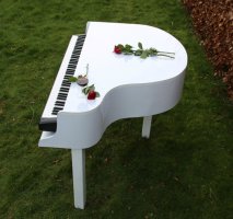 Dorel the Pianist