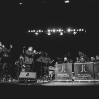 The Swing Collective