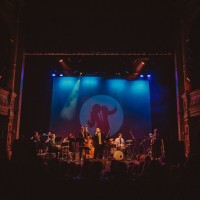 The Swing Collective