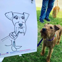 Paul the Caricaturist