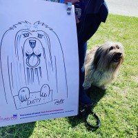 Paul the Caricaturist