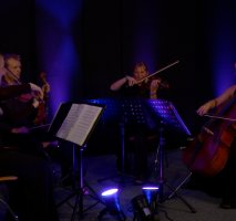 The Mezzo String Quartet