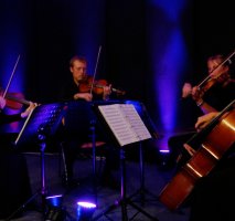 The Mezzo String Quartet