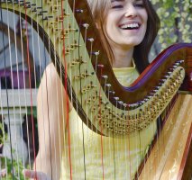 The South Wales Harpist