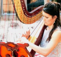 The South Wales Harpist