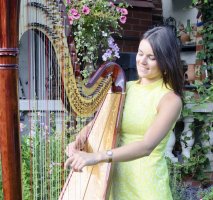 The South Wales Harpist