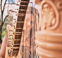 The South Wales Harpist