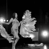 The Burlesque Dancer