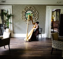 Michelle The Birmingham Harpist