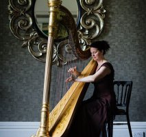 Michelle The Birmingham Harpist