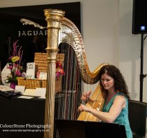 Michelle The Birmingham Harpist
