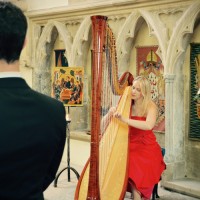 Siona the Somerset Harpist