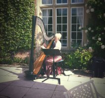 Lizzie The Harpist